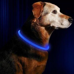 BOGO Blue Rechargeable LED Dog Collar Walk SAFELY Get your pet seen when walking